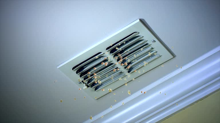 Best Commercial Air Duct Cleaning  in Line Acres, MO