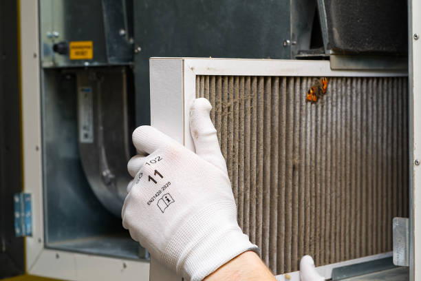 Best Emergency Air Duct Cleaning  in Line Acres, MO