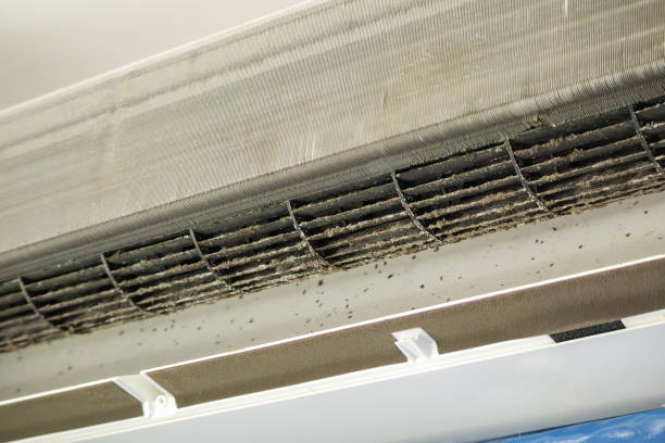 Best HVAC System Cleaning  in Line Acres, MO